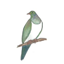 Team logo - Kererū 