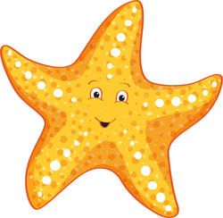 Team logo - starfish - pātangaroa