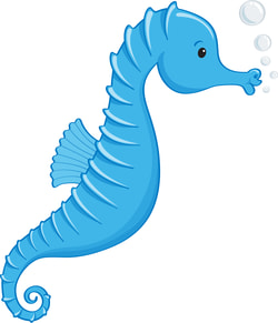 Team logo - seahorse – kiore moana